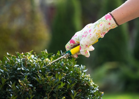 Garden waste and maintenance pricing for a Selhurst property