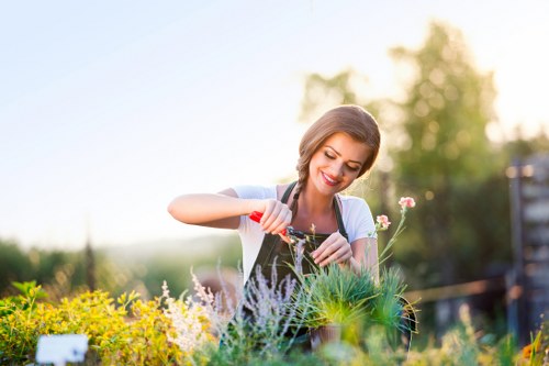 Complaint procedure for a gardening service in Selhurst