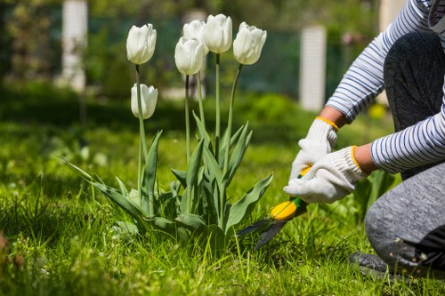 Illustration representing accessible gardening services in Selhurst