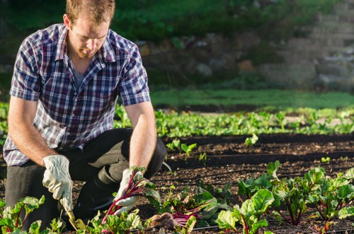 Garden waste recycling and sustainability work for Gardeners Selhurst