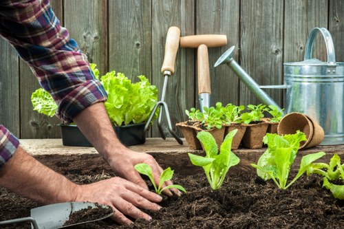 Low-maintenance garden design for Selhurst homes