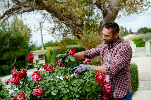 Gardening services in Selhurst enhancing kerb appeal with neat planting