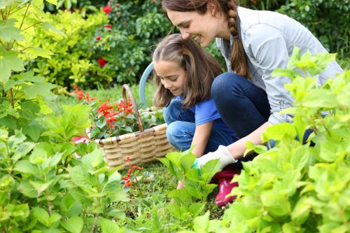 Common lawn problems in Selhurst including moss, weeds, and patchy turf