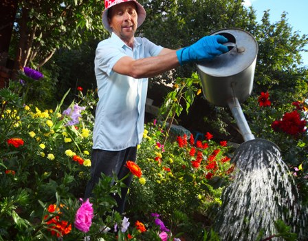 Reviewing a gardening complaint and service notes