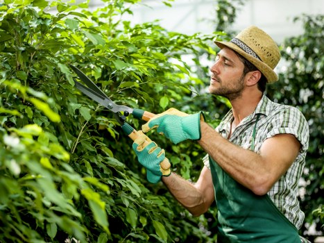 Clearing weeds, branches, and rubbish from a Selhurst garden