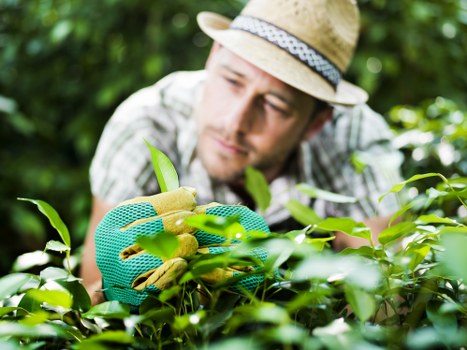 Final resolution check within a gardeners complaints process