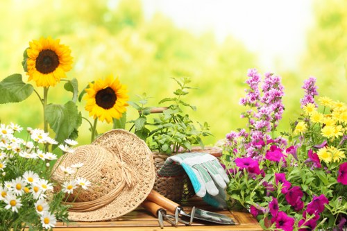 Gardeners Selhurst creating a healthy and attractive garden