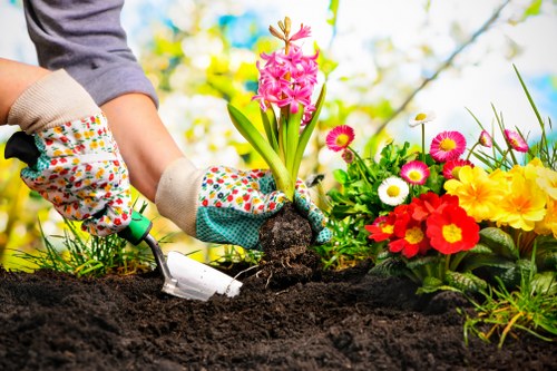 Sustainable gardening service with recycling and waste separation in Selhurst