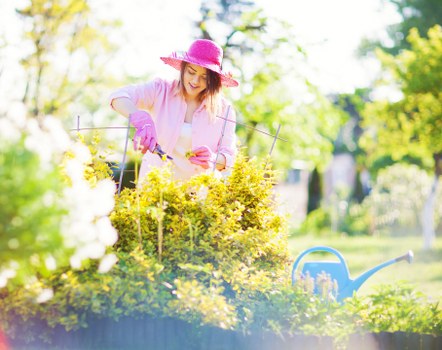 Selhurst gardeners trimming hedges and maintaining borders