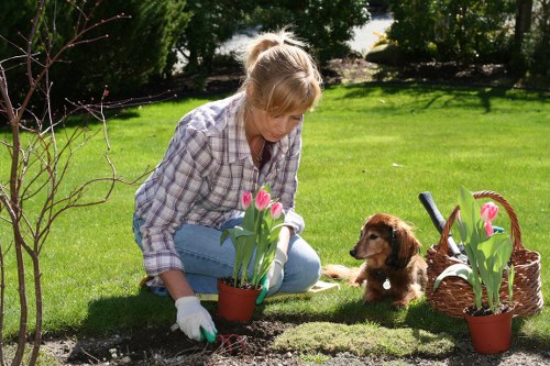 Professional garden safety practices for Selhurst properties