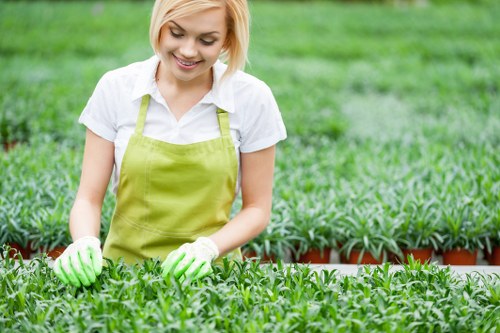 Professional local garden improvement in Selhurst