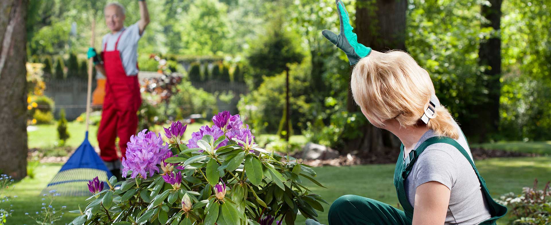 Gardeners Selhurst
